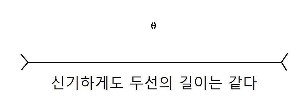 냐폴레옹 (@nyapo1eon) on Twitter photo 