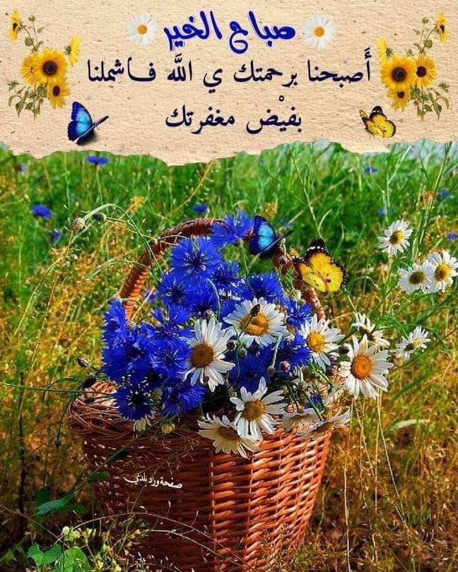 𝒟𝓇.𝒜𝒹ℯ𝓁𝒶𝒷𝓊𝓃𝒶𝒿𝒶 💛💜 tweet media