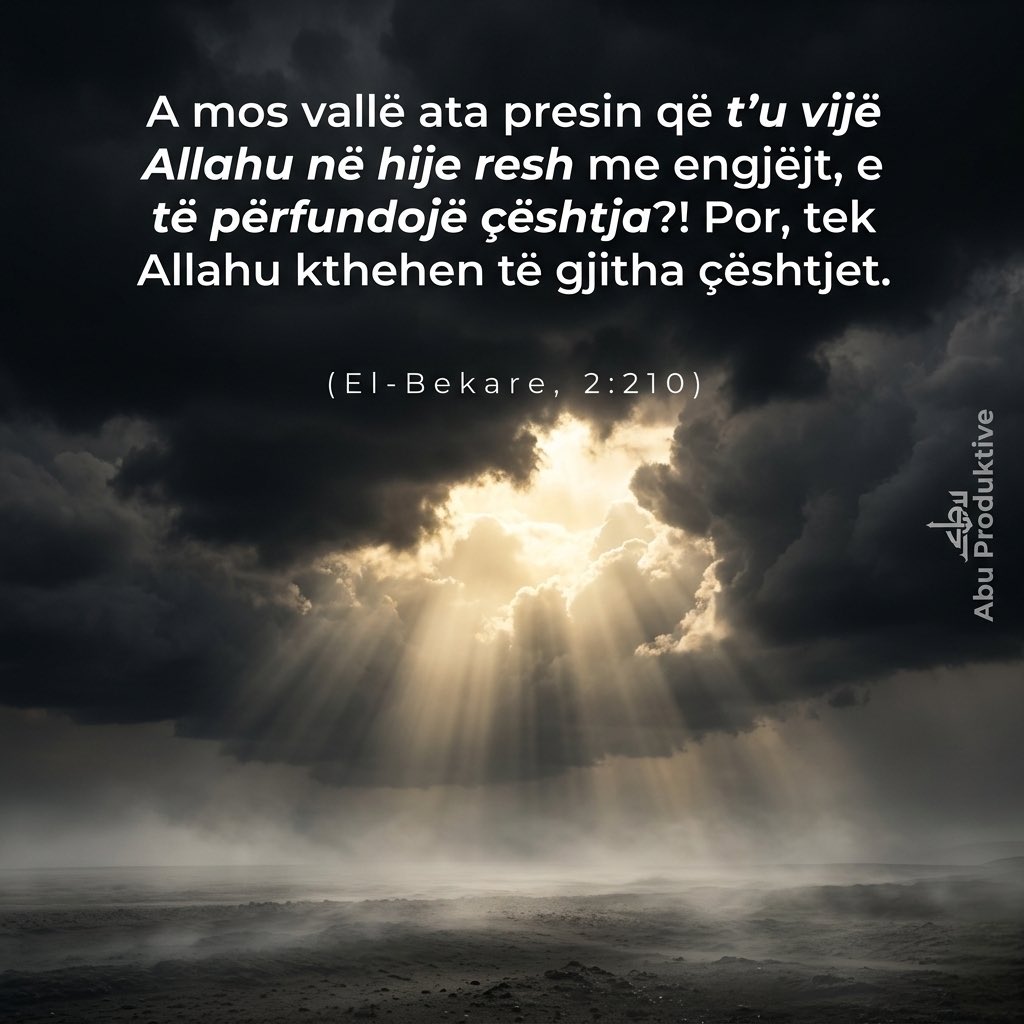 Abu Productive tweet media