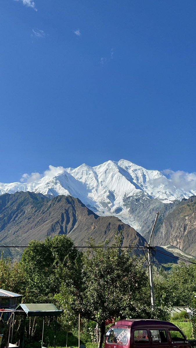 Jihadi Cat 🐈 tweet media