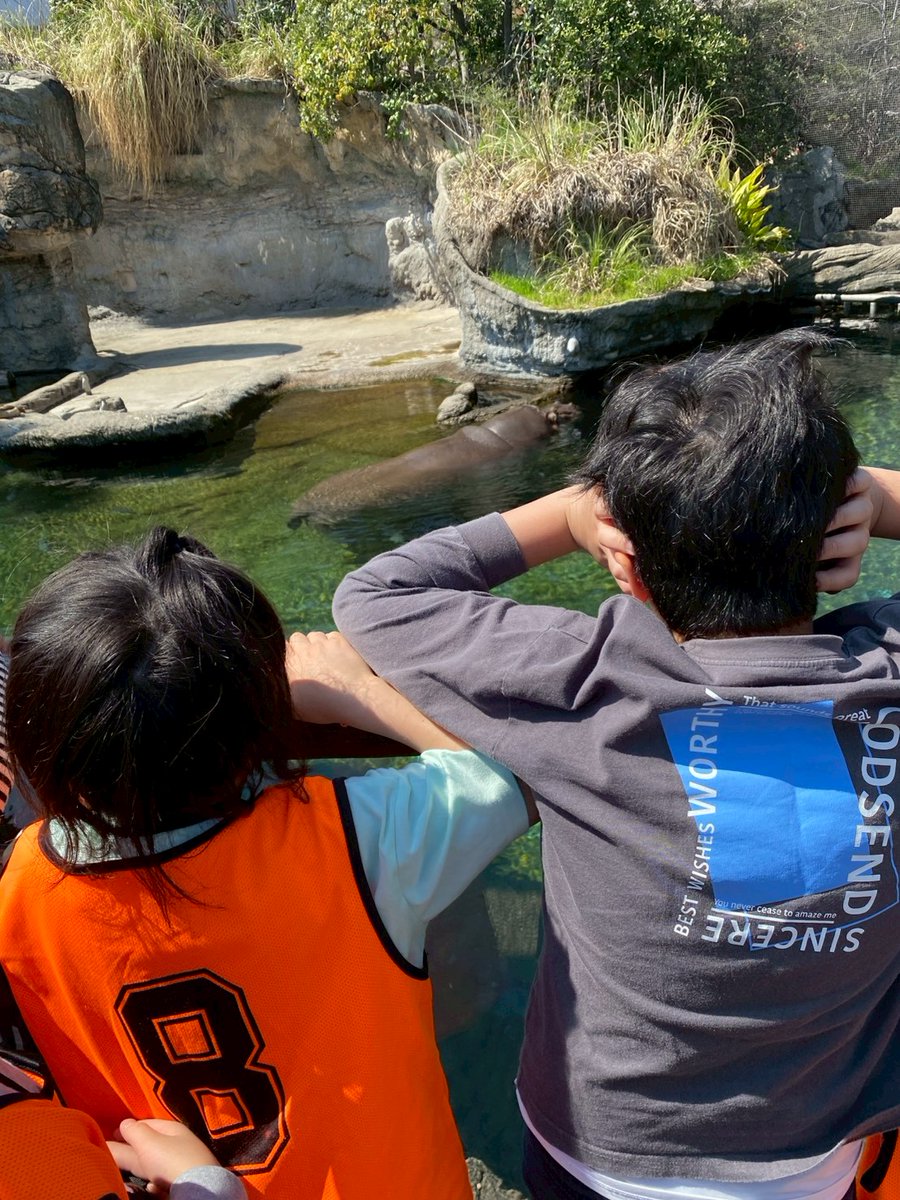 houkago_rian's tweet photo. 4月3日は天王寺動物園へ遊びに行きました✨️✨️天気も良くみんなでいろんな動物を見て回ることが出来ました！
#放課後等デイサービス 
#放課後等デイサービスリアン
#放課後等デイサービス大阪
#放課後等デイサービス淀川区 https://t.co/msrOctkCQa