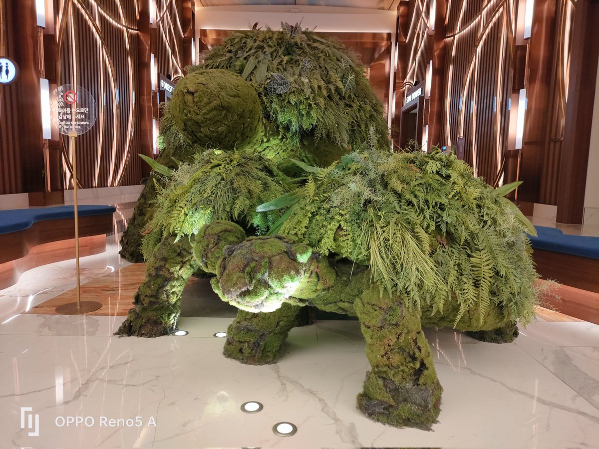 GiGi01010108's tweet image. バッファロー🦬ウイング&amp;amp;ポテト&amp;amp;オニオンリング🤤

#INSPIRE #Pavilion