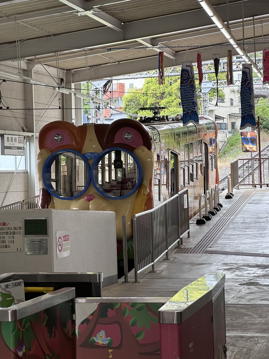 のじやん🐳🐳 ⛩️🍄🐆🖤 tweet media