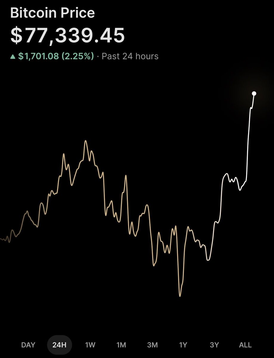 Bit Paine ⚡️ tweet media