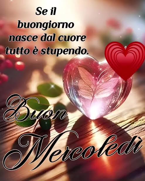 Matteo tweet media