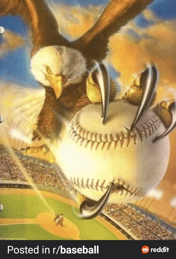 Felipe⚡️🧨 tweet media