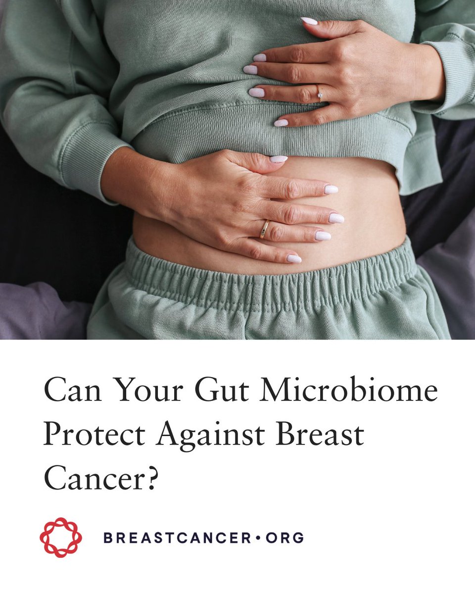 Breastcancerorg's tweet image. Researchers are exploring whether the gut microbiome may be linked to breast cancer risk. Here's what we know so far ➡️ bit.ly/4bwwvkn

#BreastCancer #BreastCancerResearch #GutHealth #CancerPrevention