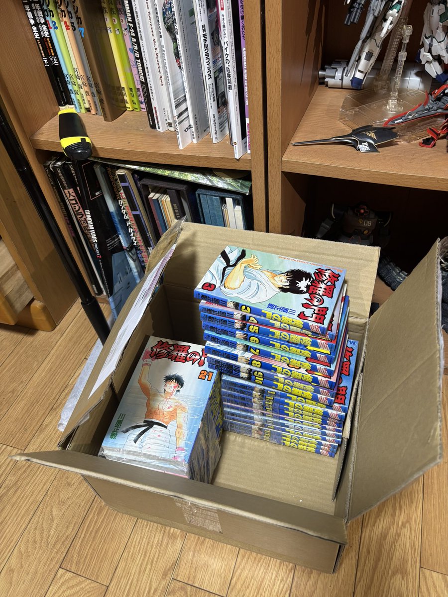休日の今日はZのオイル交換の予定だったけど、先日購入した「修羅の門