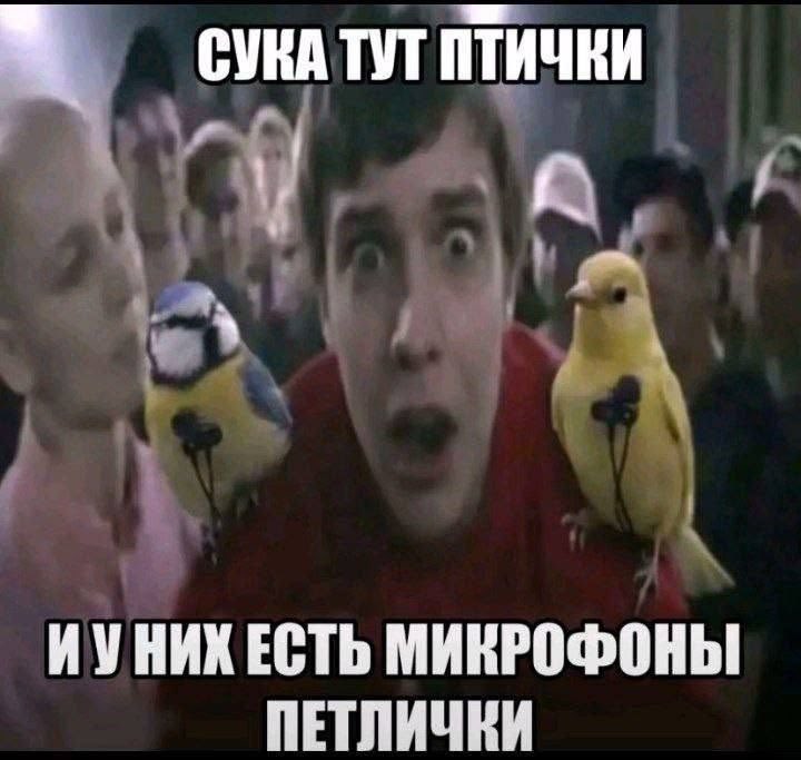 yatta!!¡ tweet media