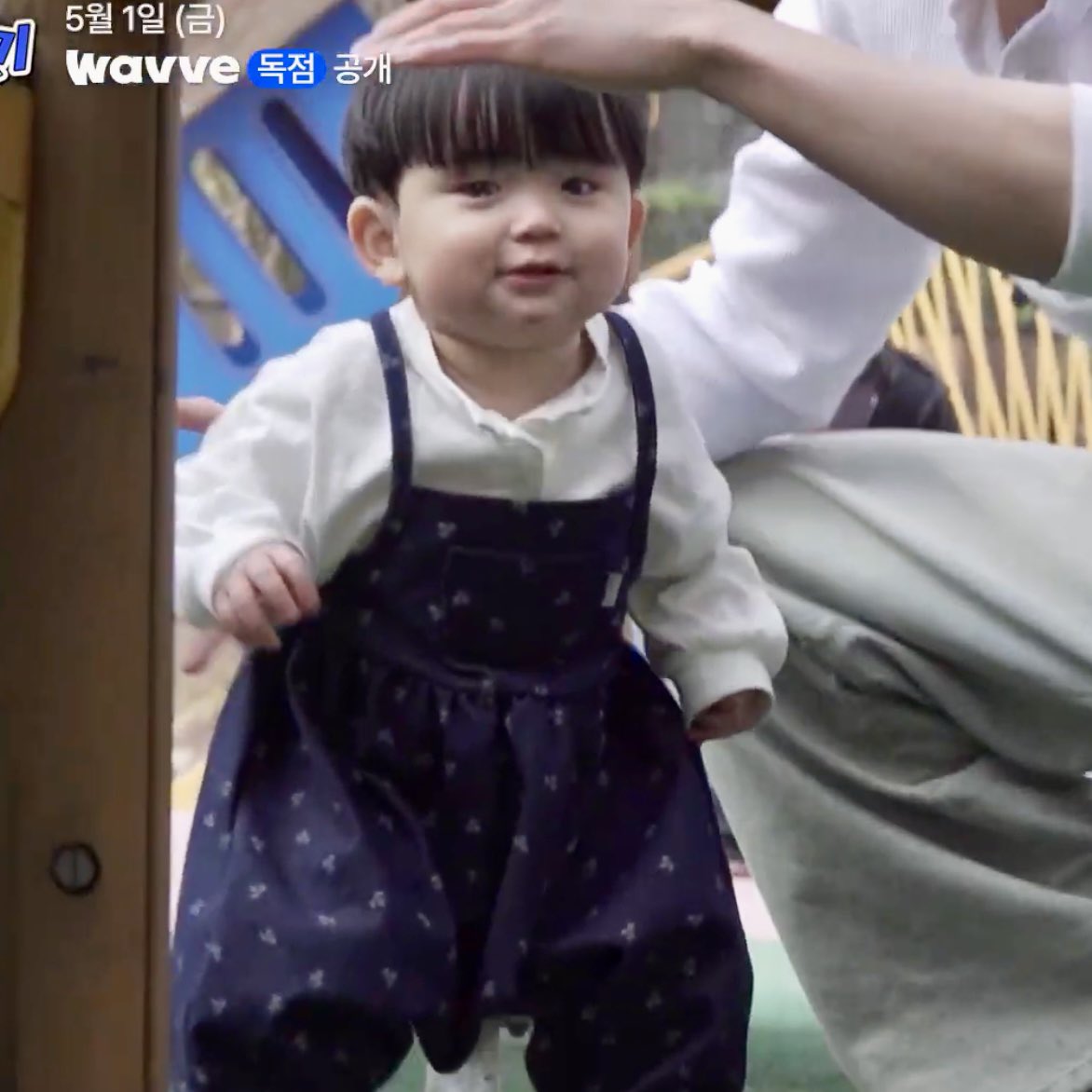 🫧🪾 tweet media