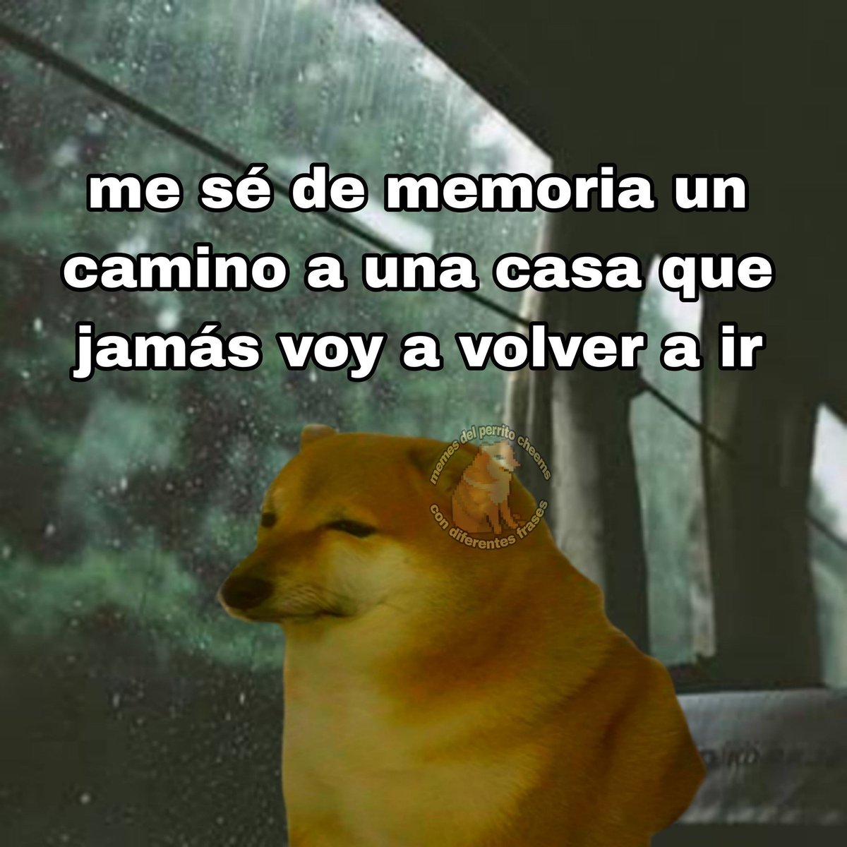 nacional_memes's tweet photo. 🐶 https://t.co/x1z4REJvtL