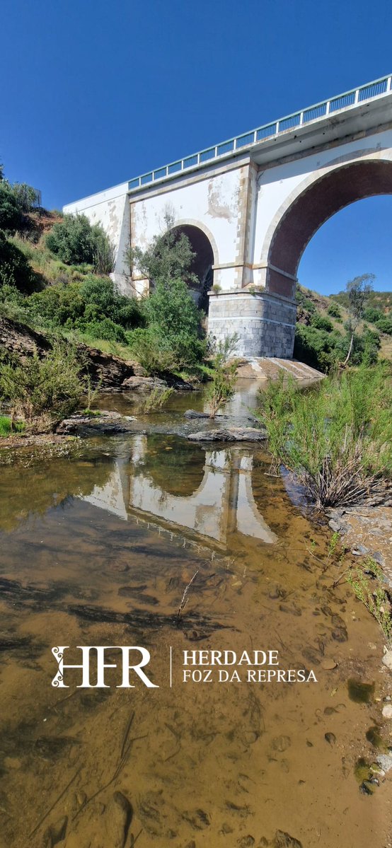 HerdadeFozdaRep's tweet image. Walking in the neighbourhood...

HerdadeFozDaRepresa.com 

#Mértola #Walking