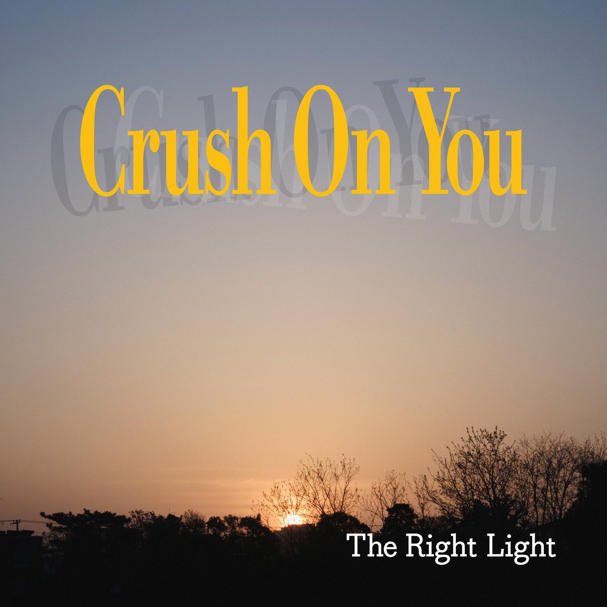 The Right Light tweet media
