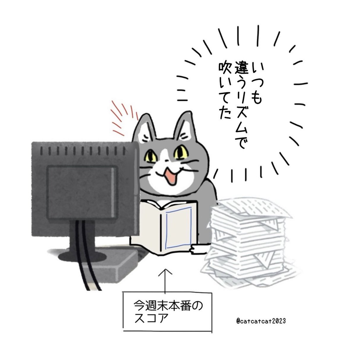 本番◯日前に新たな気づきを得た猫。