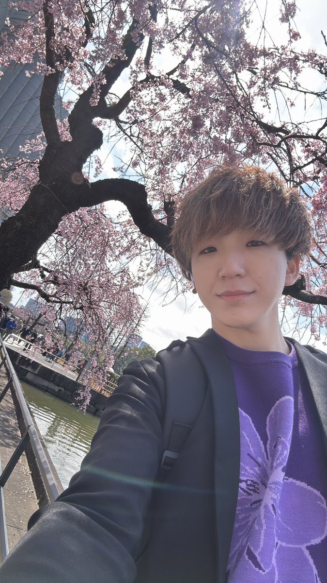 🪉ハープ王子🫅 tweet media
