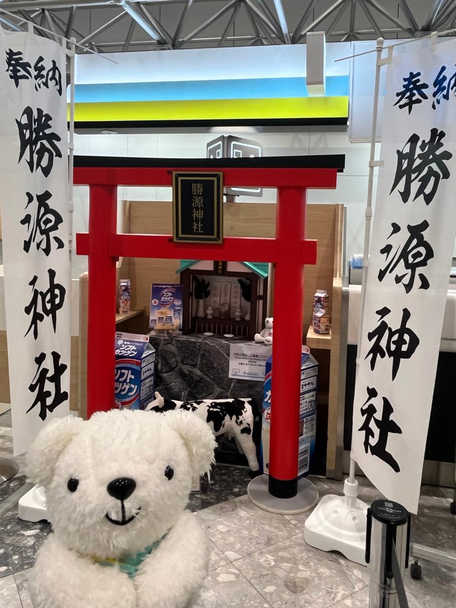 【公式】AIRDO（エア・ドゥ）｜北海道の翼 tweet media
