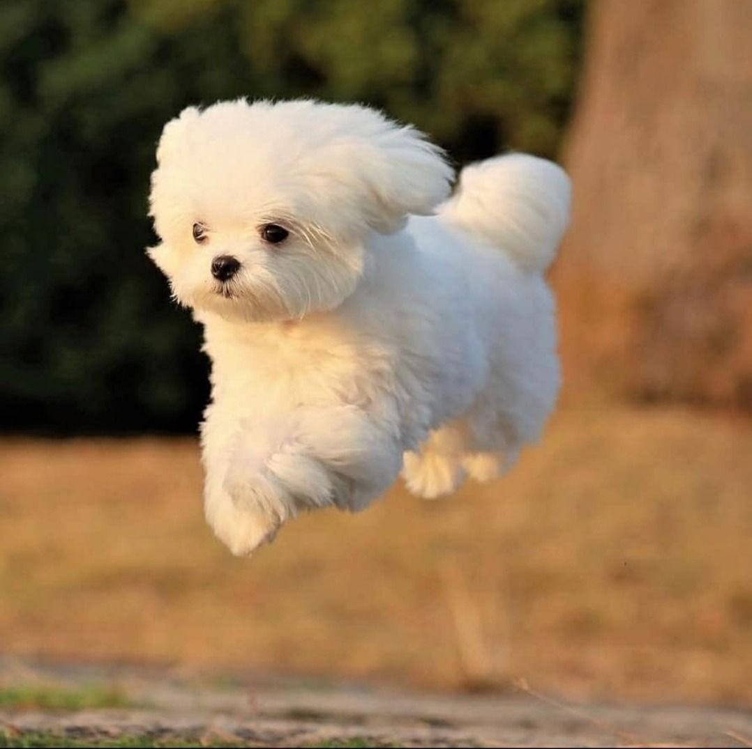 더쿠(1시에 자라) tweet media