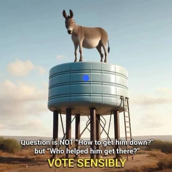 sabeer's tweet image. 