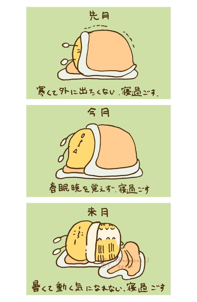 遊ハち tweet media