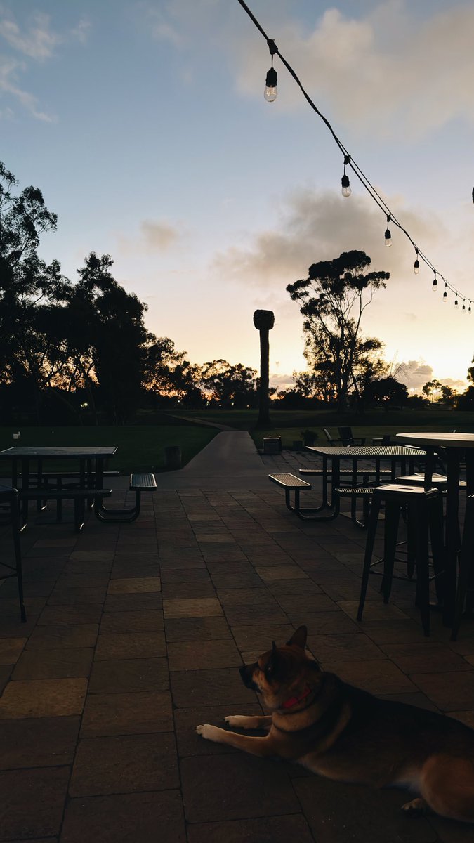 Blake Vincent Kueny tweet media