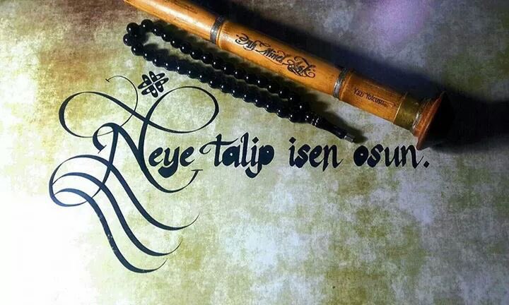 Ayşe Hatun tweet media