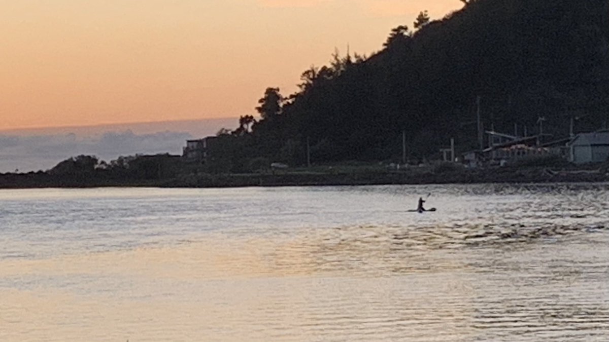 Sea 海洋 🌊 tweet media