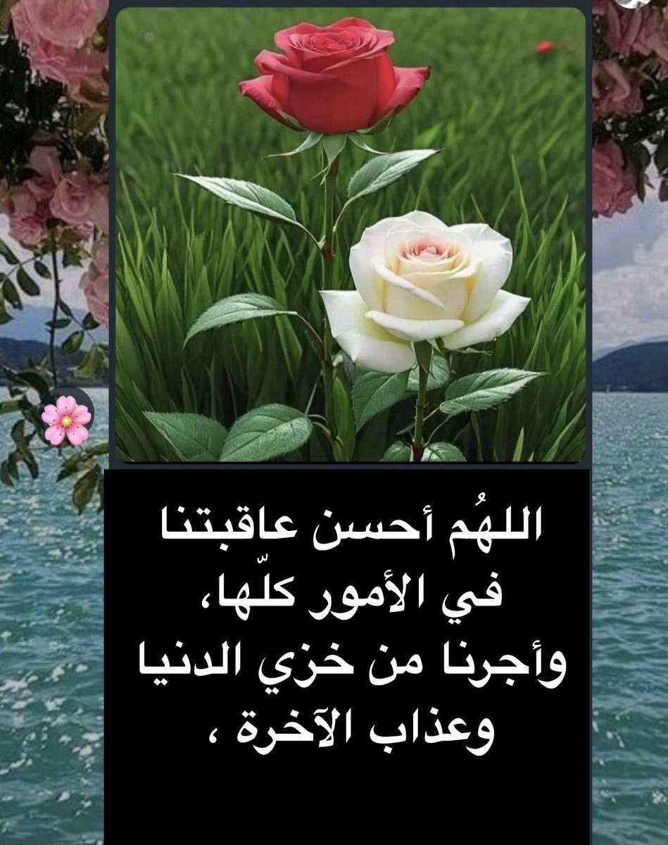 نوال البشري 🇸🇦🌴 tweet media