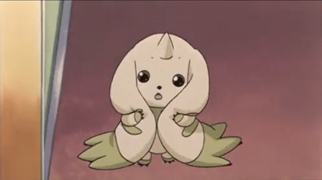 コカイン忍者 tweet media