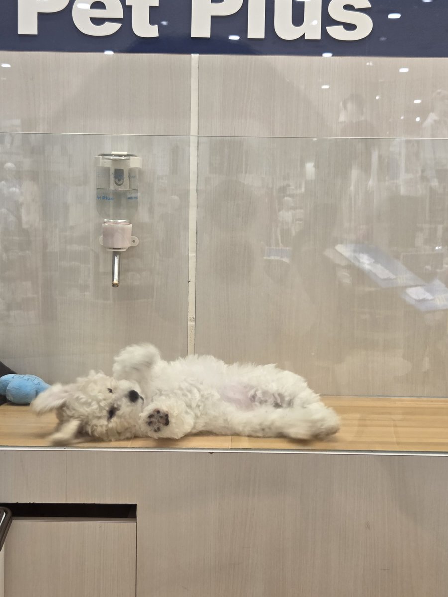 パンタグラフ tweet media