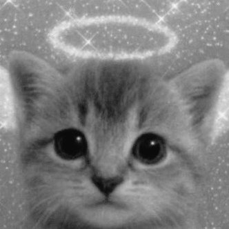 gaBi linda tweet media