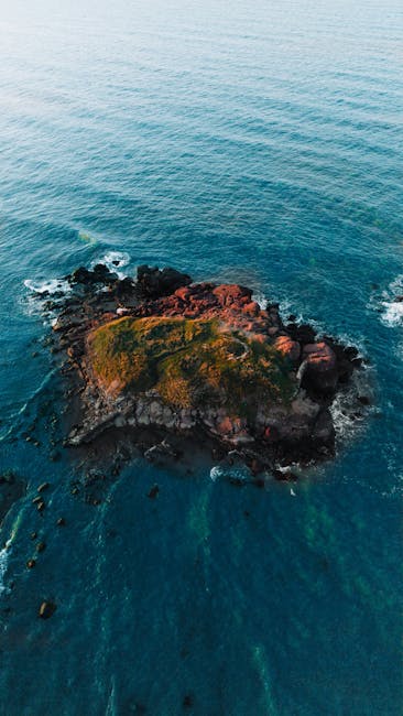 Jose Stuart tweet media