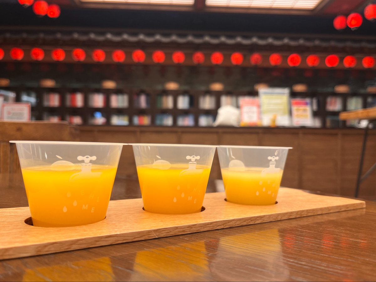 不知火　清美　河内晩柑