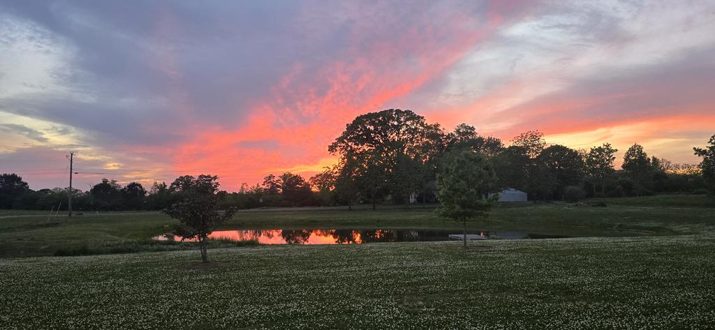 bobj6770's tweet photo. Sunset over Addison, AL tonight!

@AlabamaWXNet @spann @simpsonWVTM13 @weswyattweather https://t.co/ItM5Qn3QxL