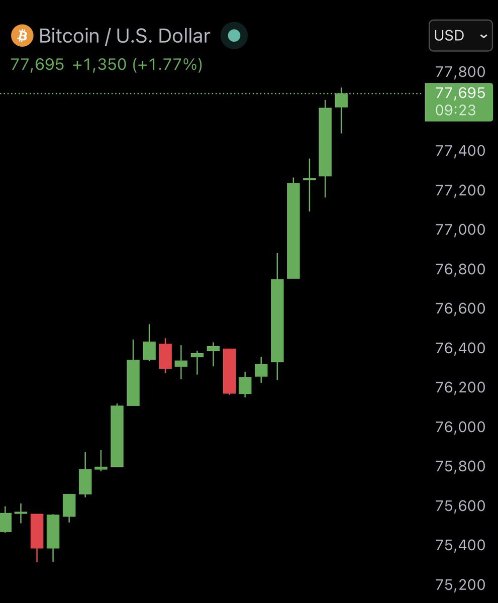Bull Theory tweet media