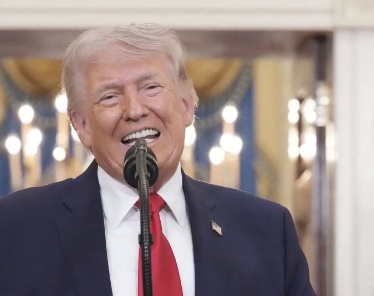 Ayat oraby tweet media