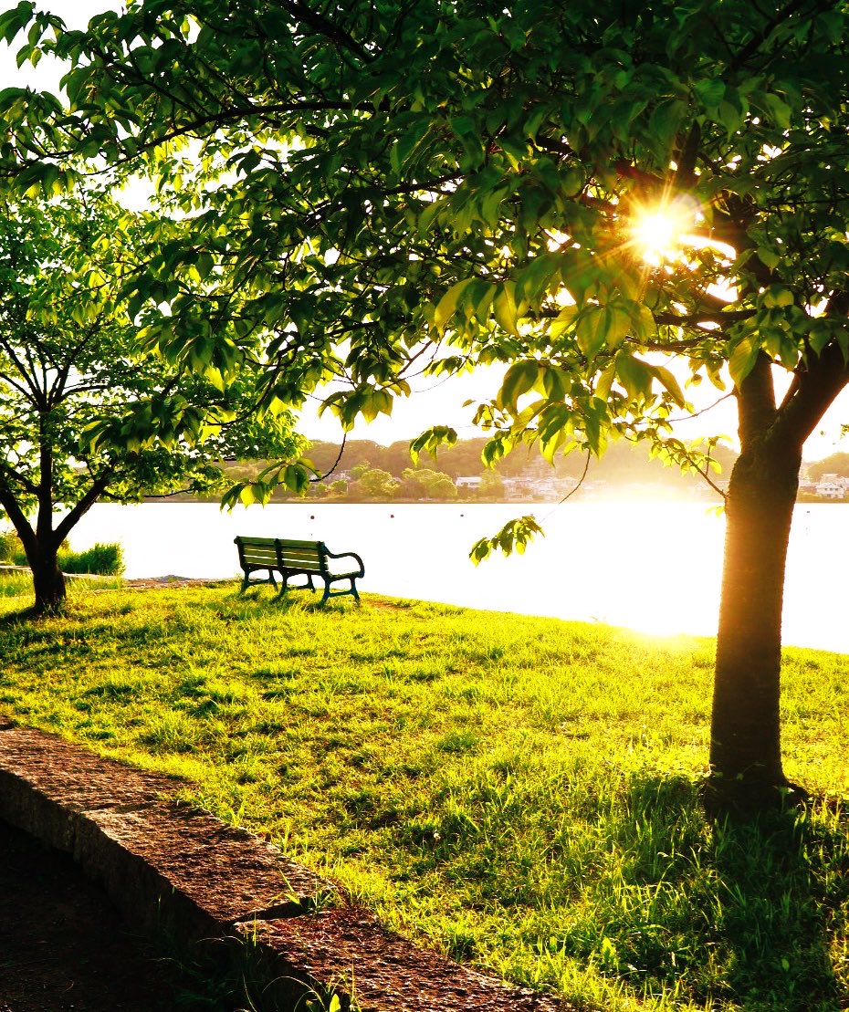 なつき tweet media