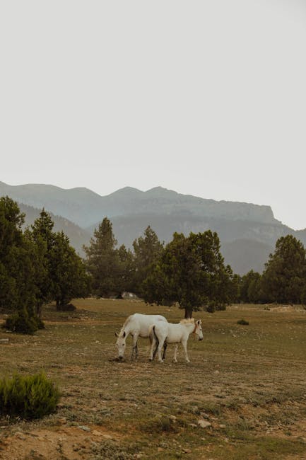 Denise Butler tweet media