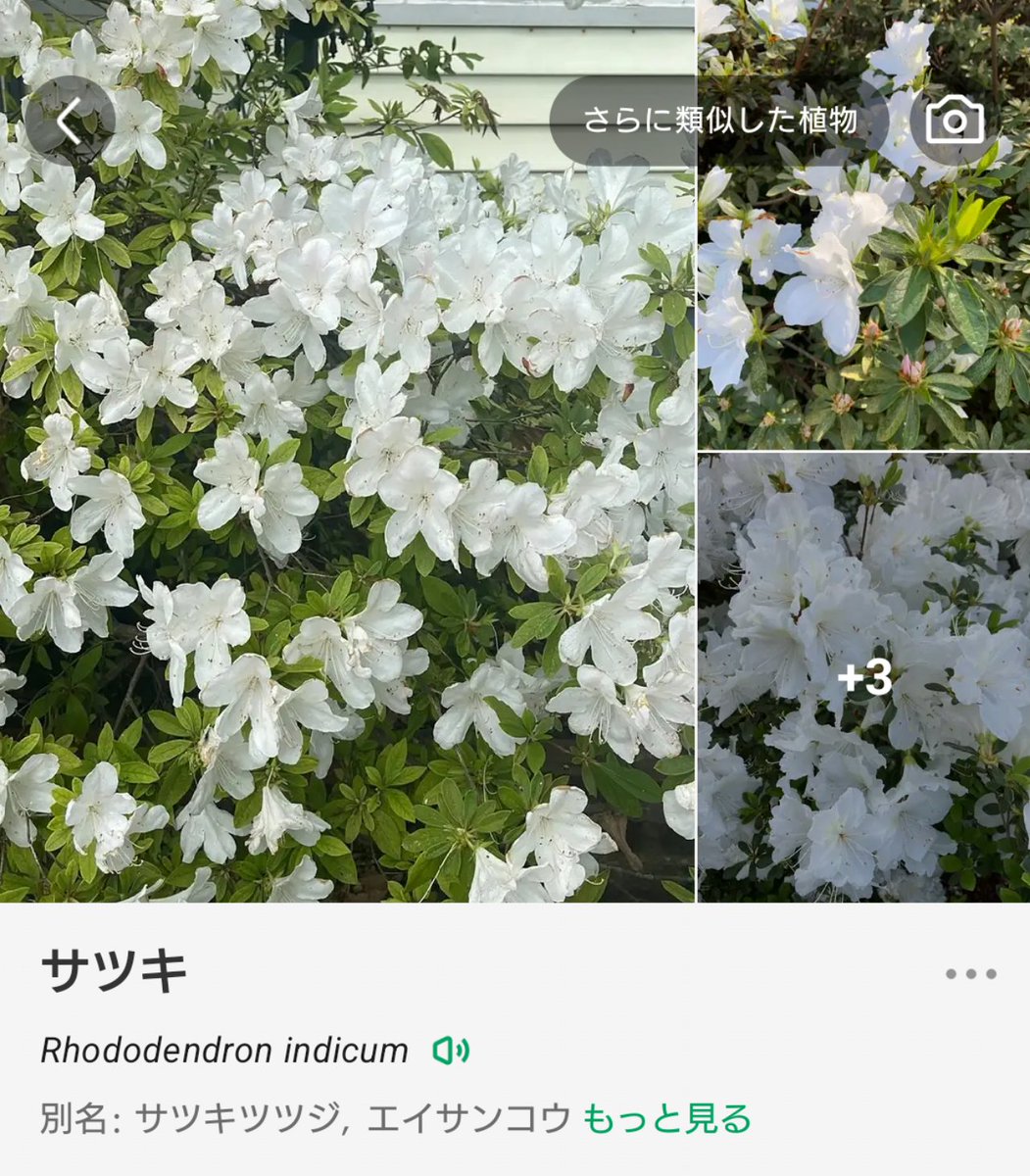 下條ユイ tweet media