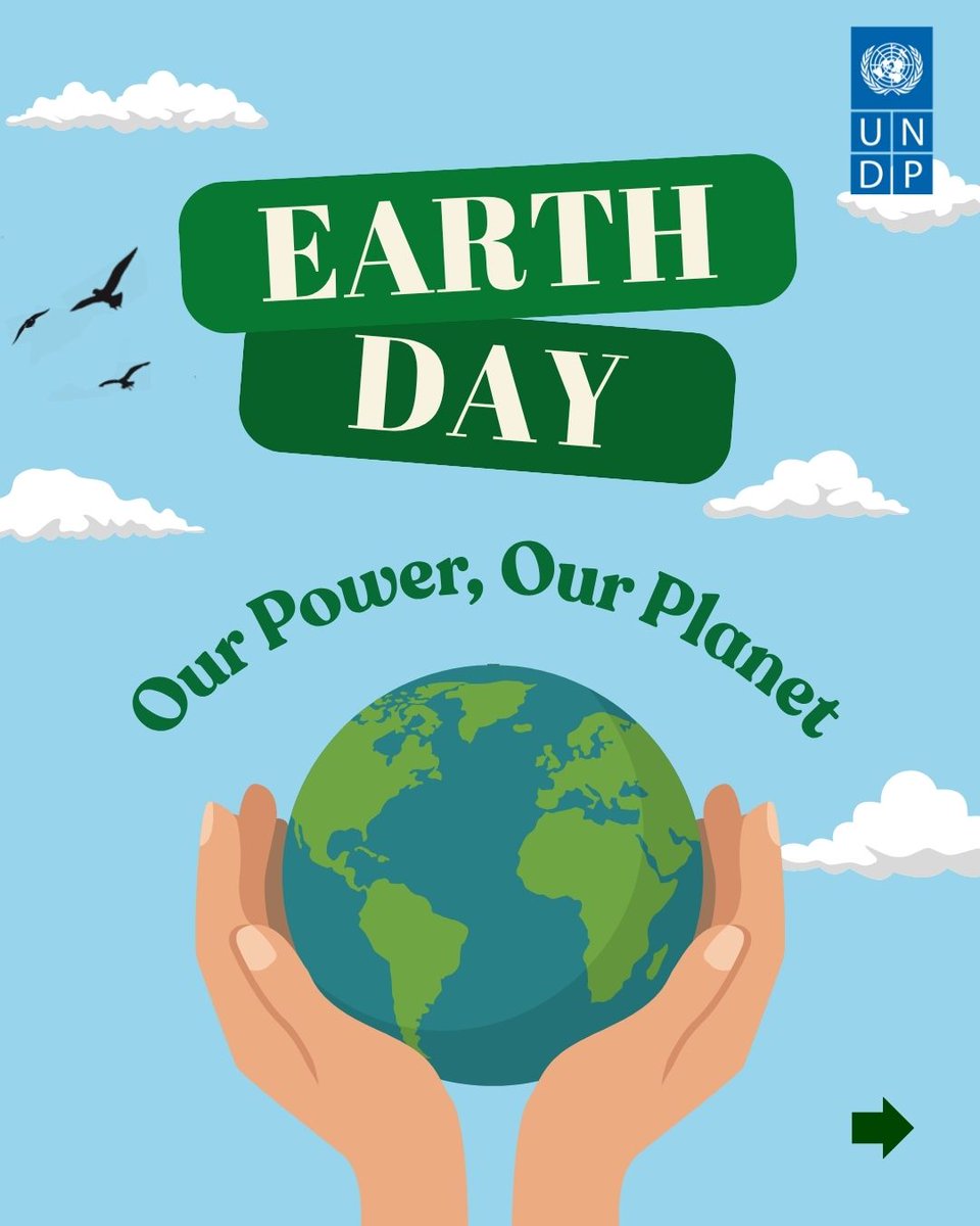 UNDP China tweet media