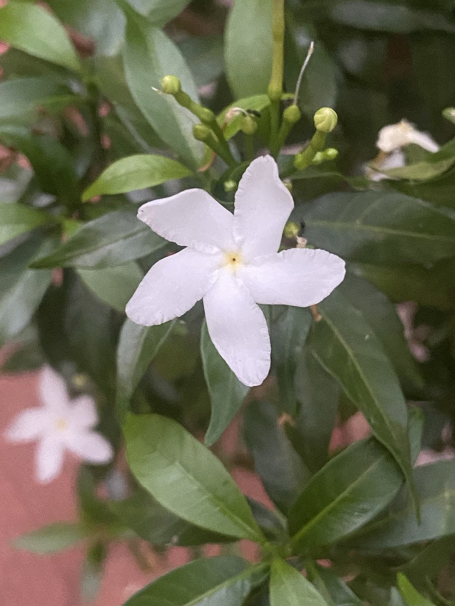 Nimisham - The Moment 🌼 (@NimishamMoment) / Posts / X