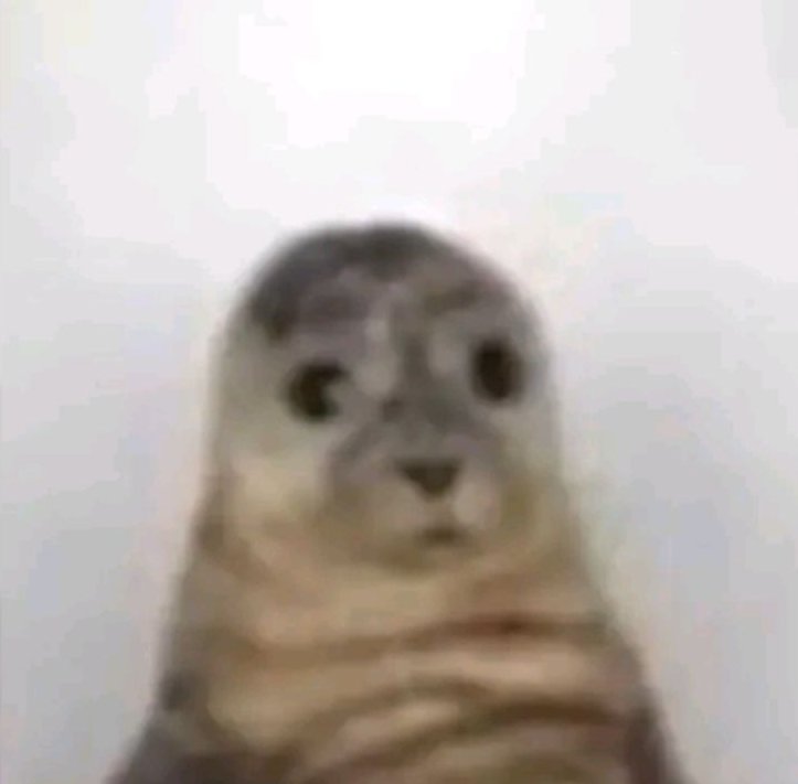 ryo as seals tweet media