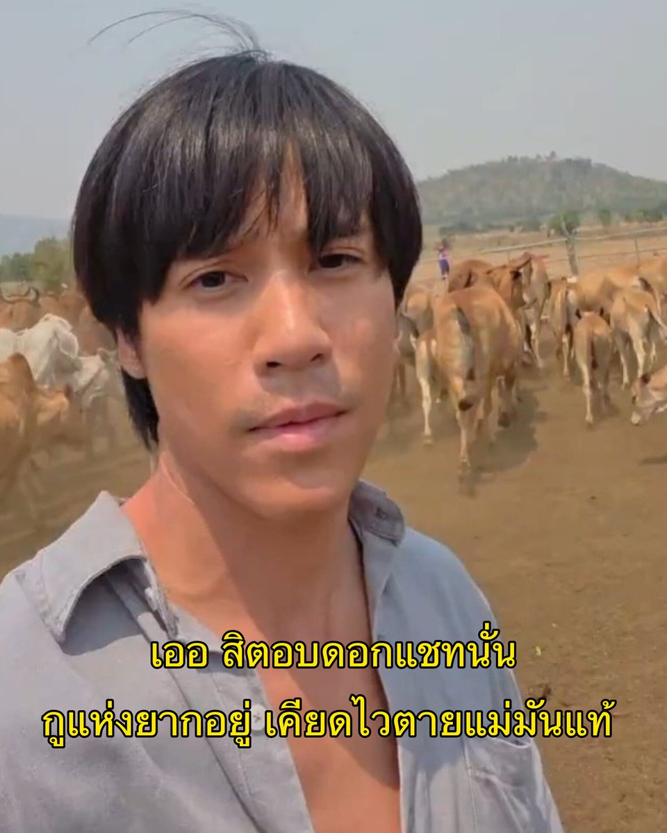 ne (rest) tweet media