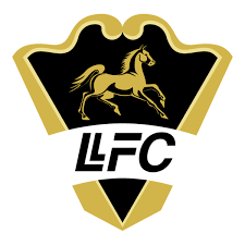 inolvidable cena de camaradería del GOU tweet media