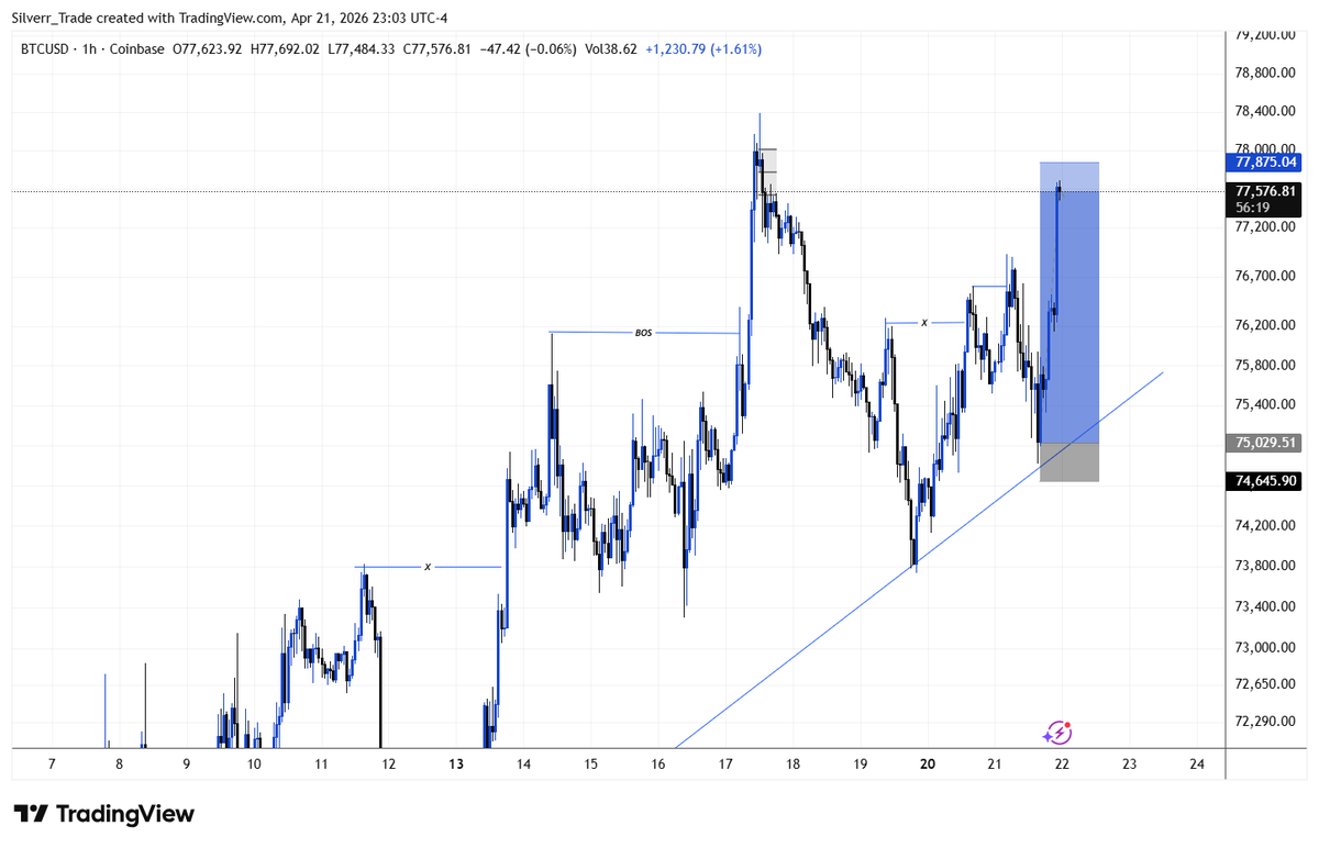 Silver🦋 tweet media