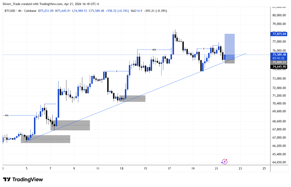 Silver🦋 tweet media