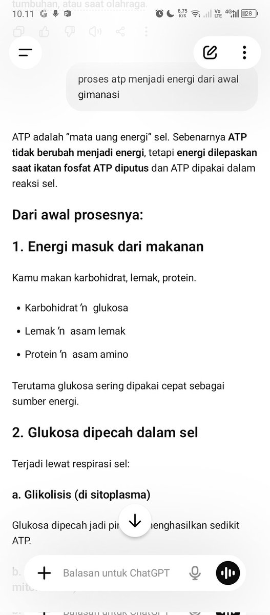 alyaa tweet media
