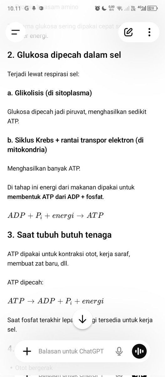 alyaa tweet media