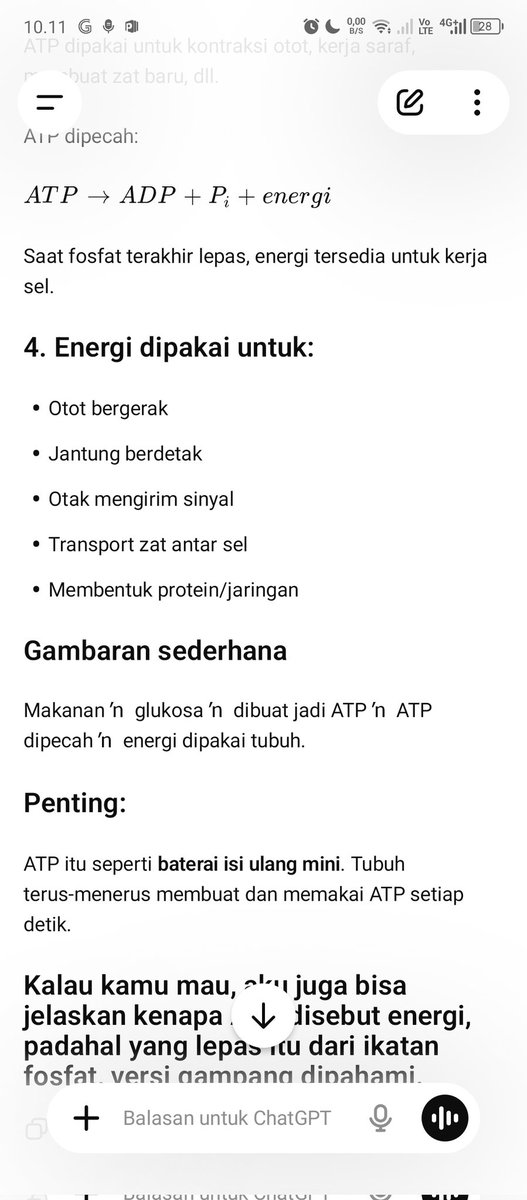 alyaa tweet media