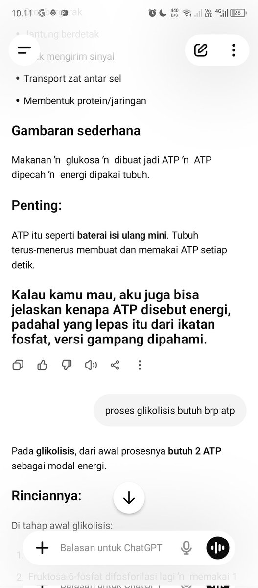 alyaa tweet media