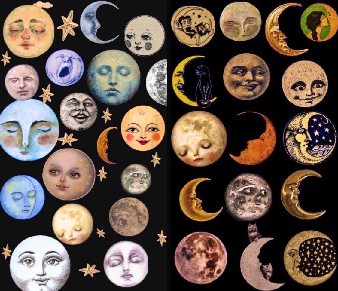 🦇 𝐭𝐡𝐞 𝐯𝐚𝐦𝐩𝐢𝐫𝐚 𝐬𝐡𝐨𝐰 | nsfw tweet media